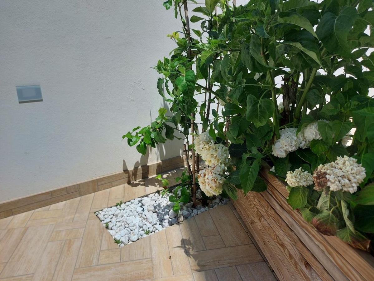 Civico 72 Otel Martano Dış mekan fotoğraf